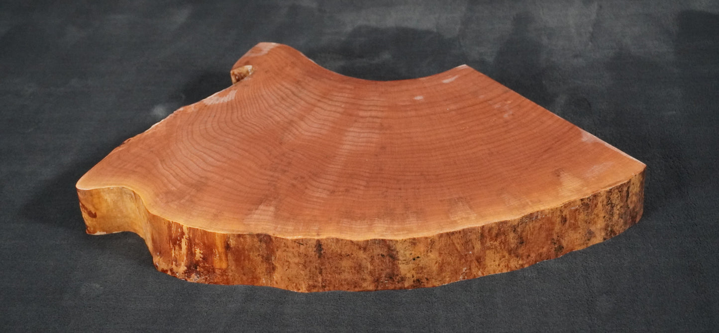 Maple Quarter round Live Edge Ikebana Stand 15