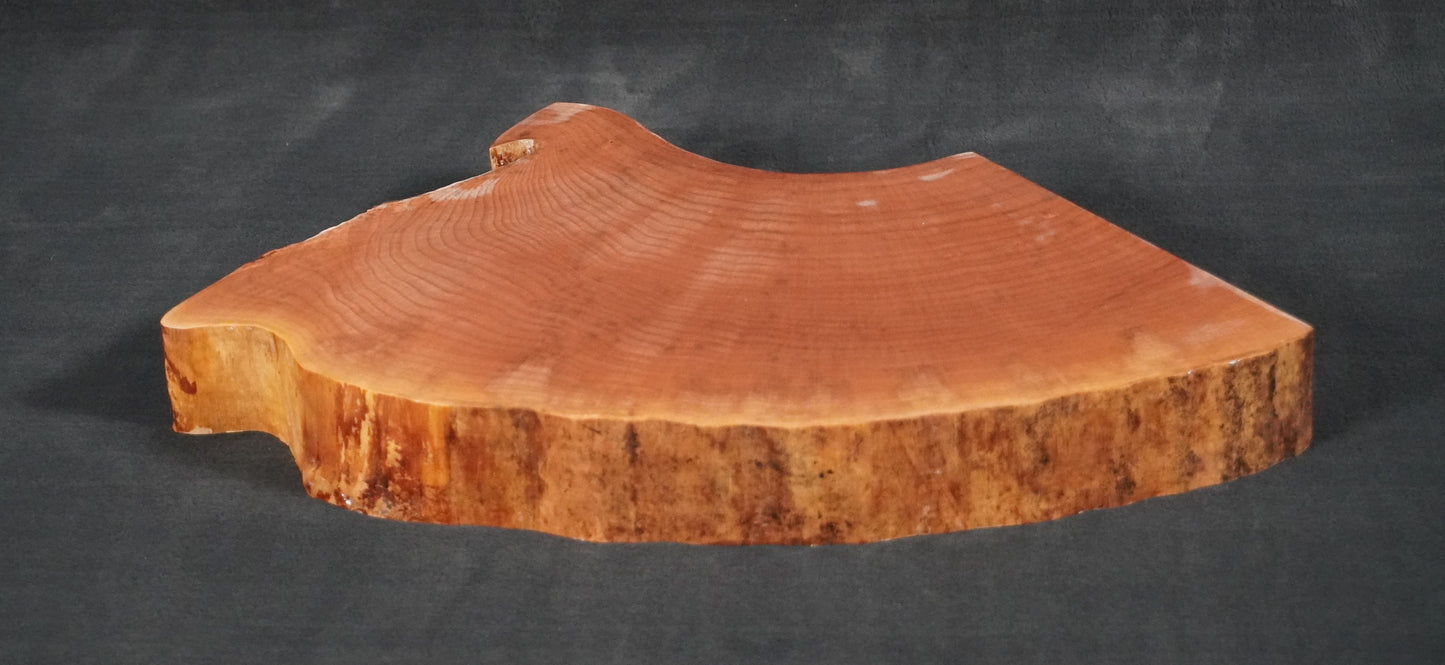 Maple Quarter round Live Edge Ikebana Stand 15