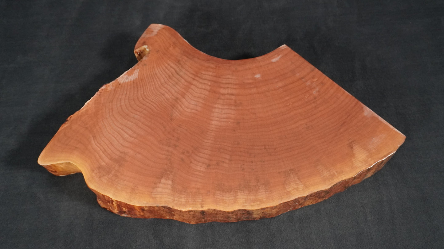 Maple Quarter round Live Edge Ikebana Stand 15