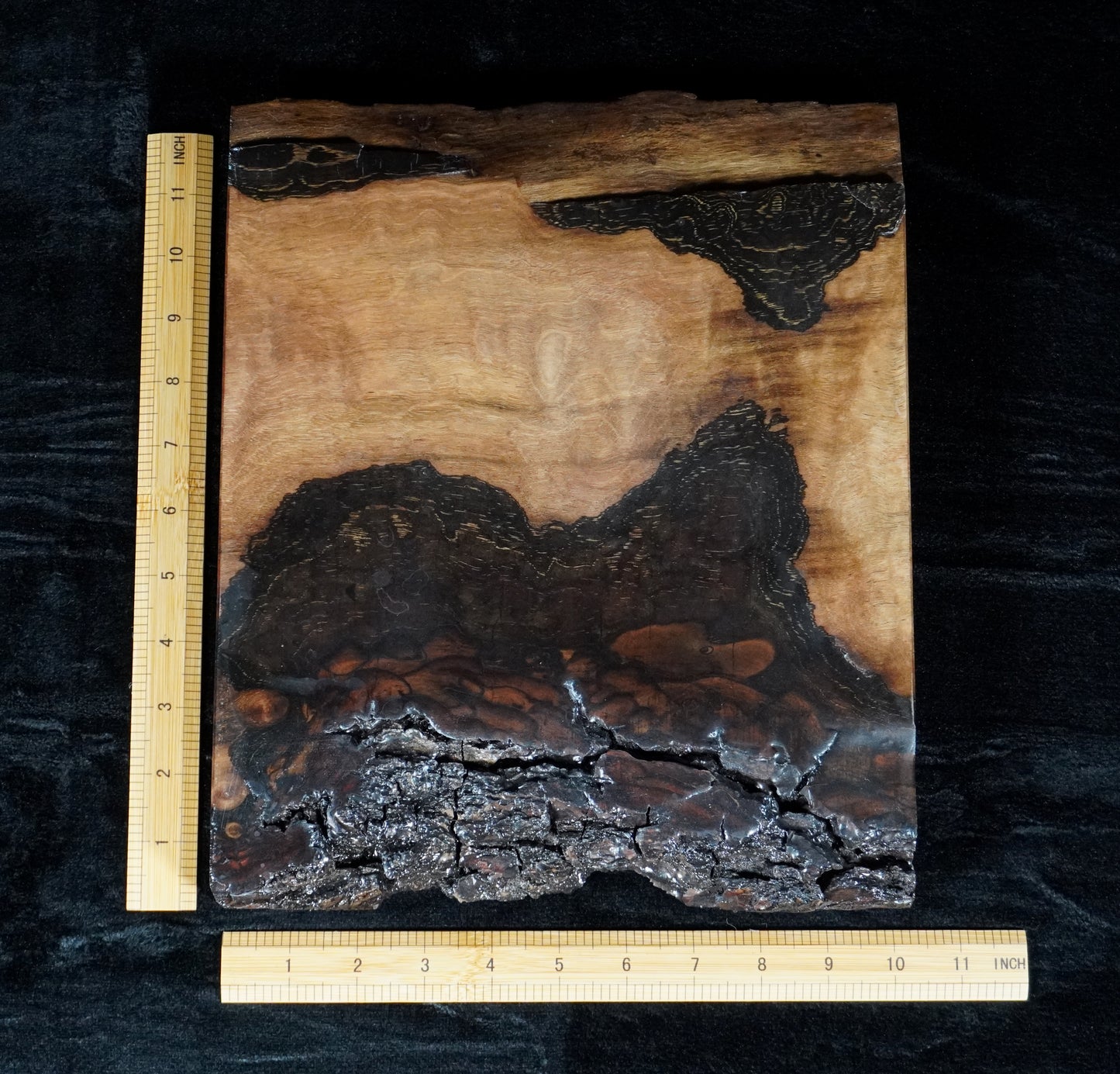 Black walnut Live Edge Ikebana Stand