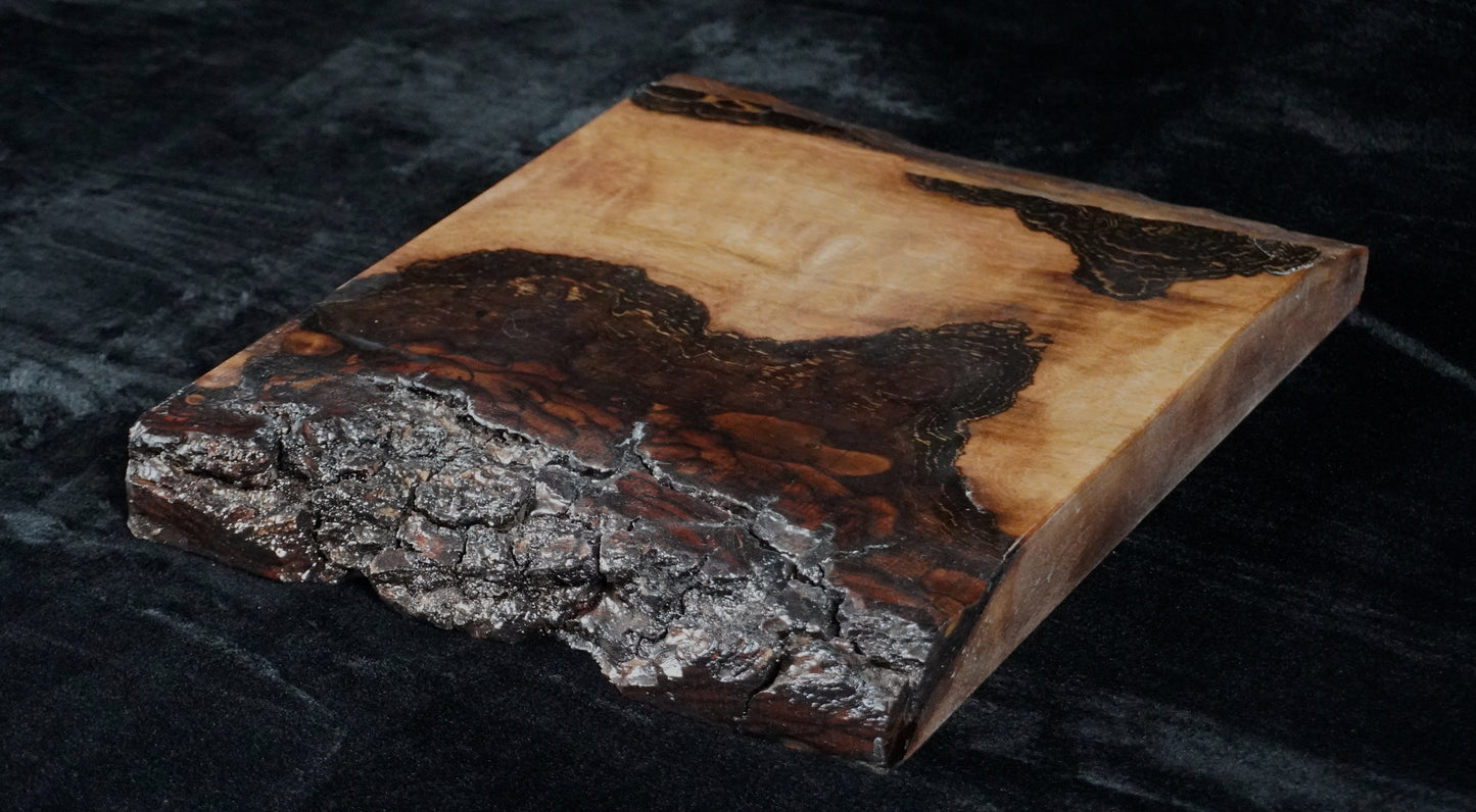Black walnut Live Edge Ikebana Stand