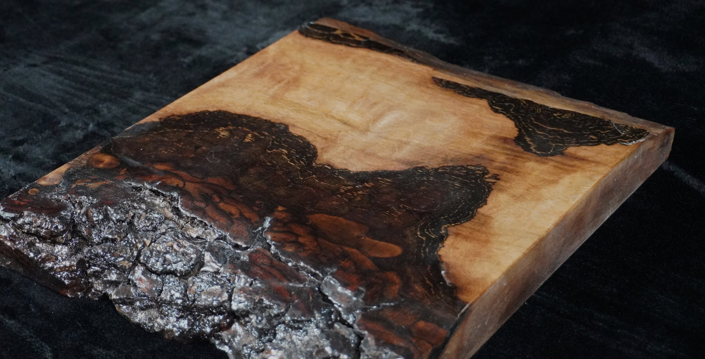 Black walnut Live Edge Ikebana Stand
