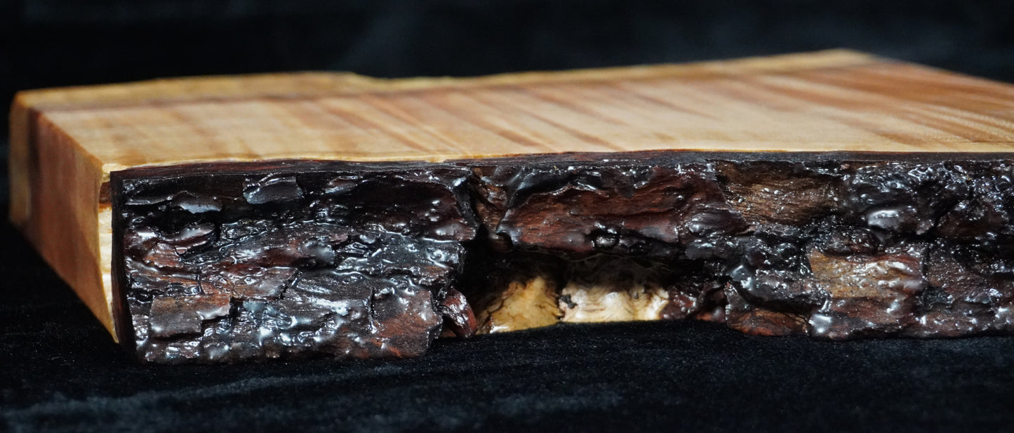 Quilted Maple Live Edge Ikebana Stand