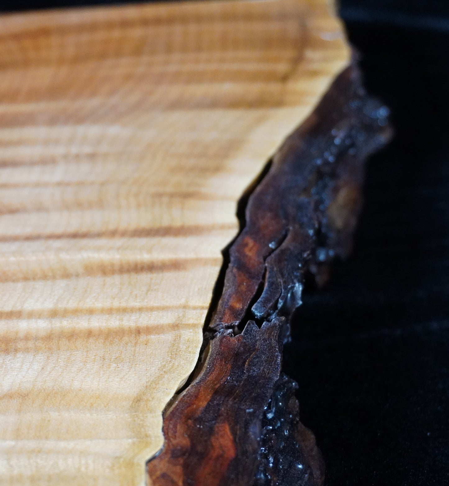 Quilted Maple Live Edge Ikebana Stand