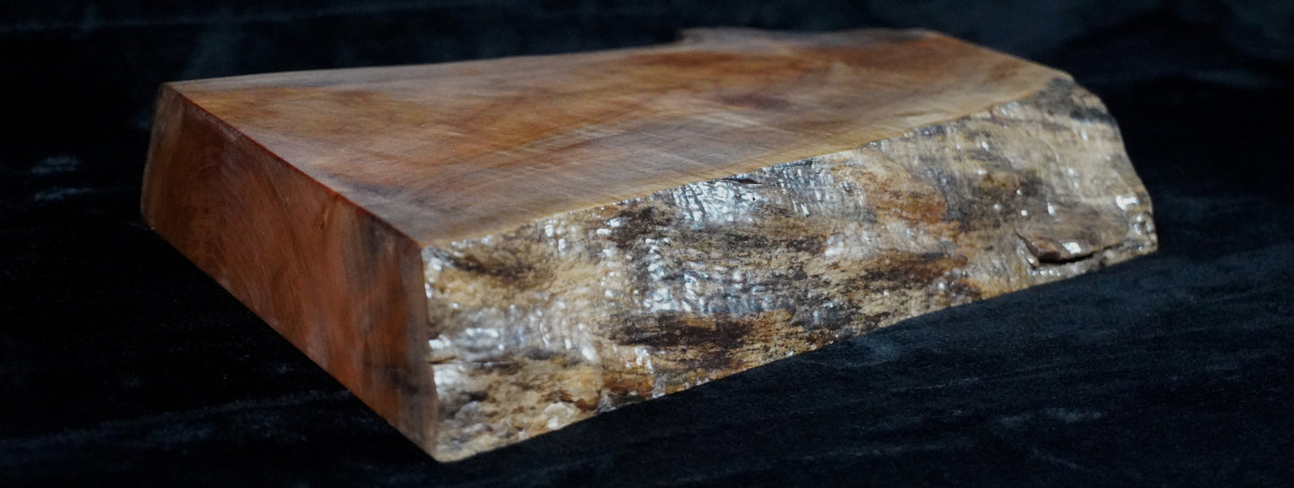 Maple Live Edge Ikebana Stand