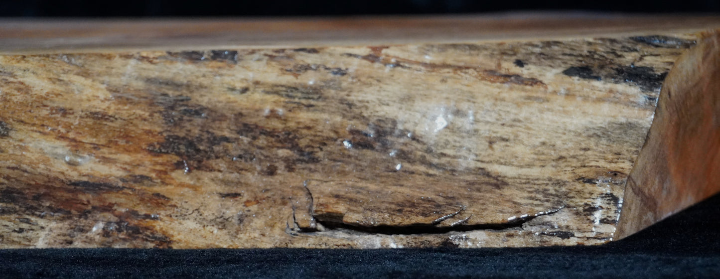 Maple Live Edge Ikebana Stand