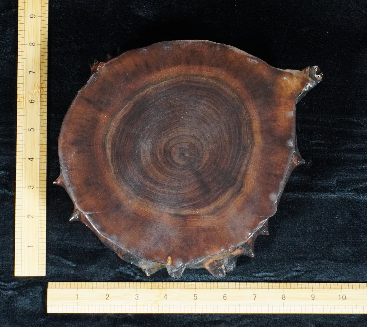 Black Walnut Round Live Edge Ikebana Stand 16