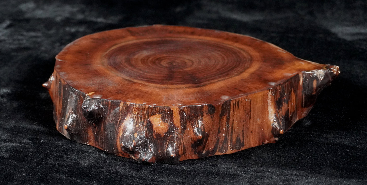 Black Walnut Round Live Edge Ikebana Stand 16