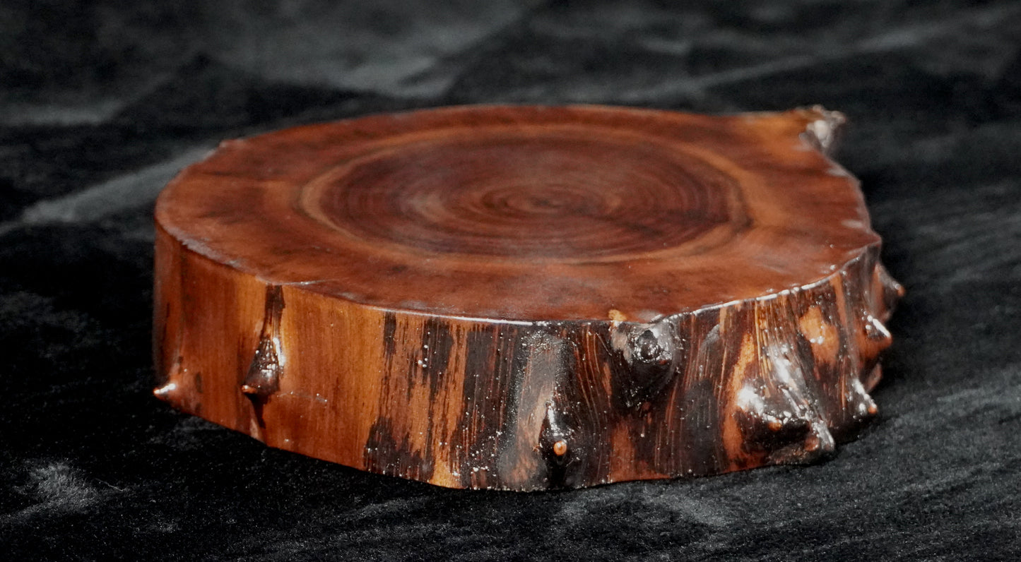 Black Walnut Round Live Edge Ikebana Stand 16