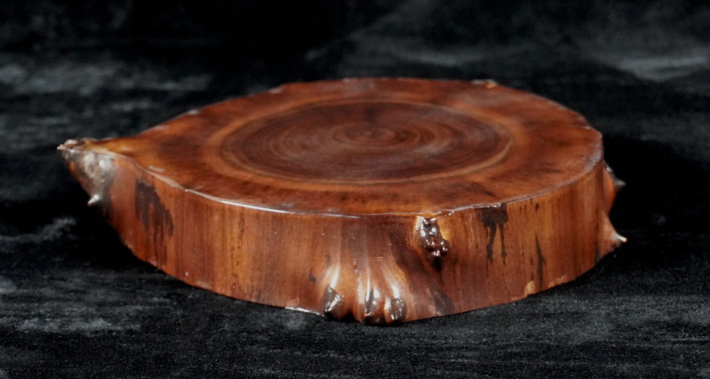 Black Walnut Round Live Edge Ikebana Stand 16