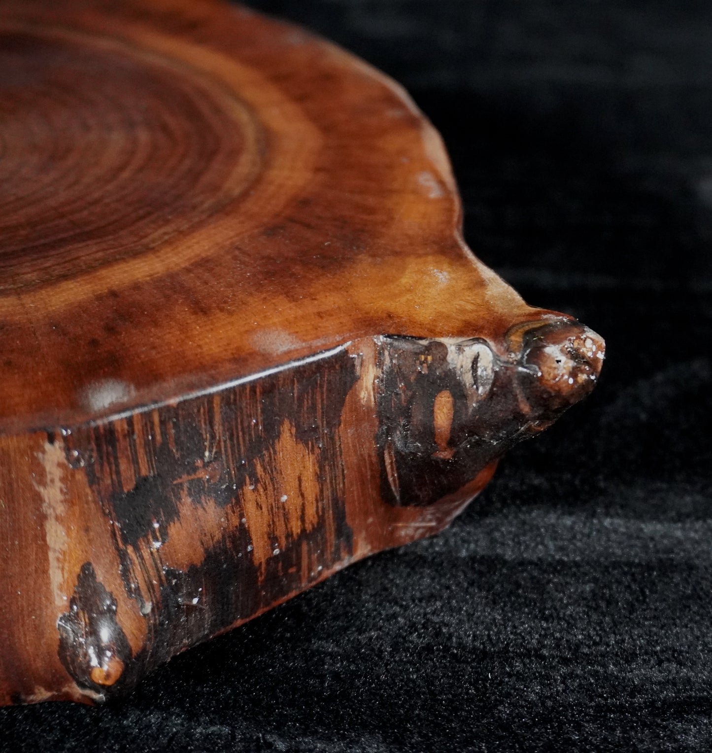 Black Walnut Round Live Edge Ikebana Stand 16