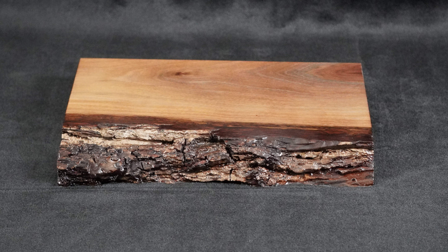 Black Walnut Live Edge Ikebana Stand