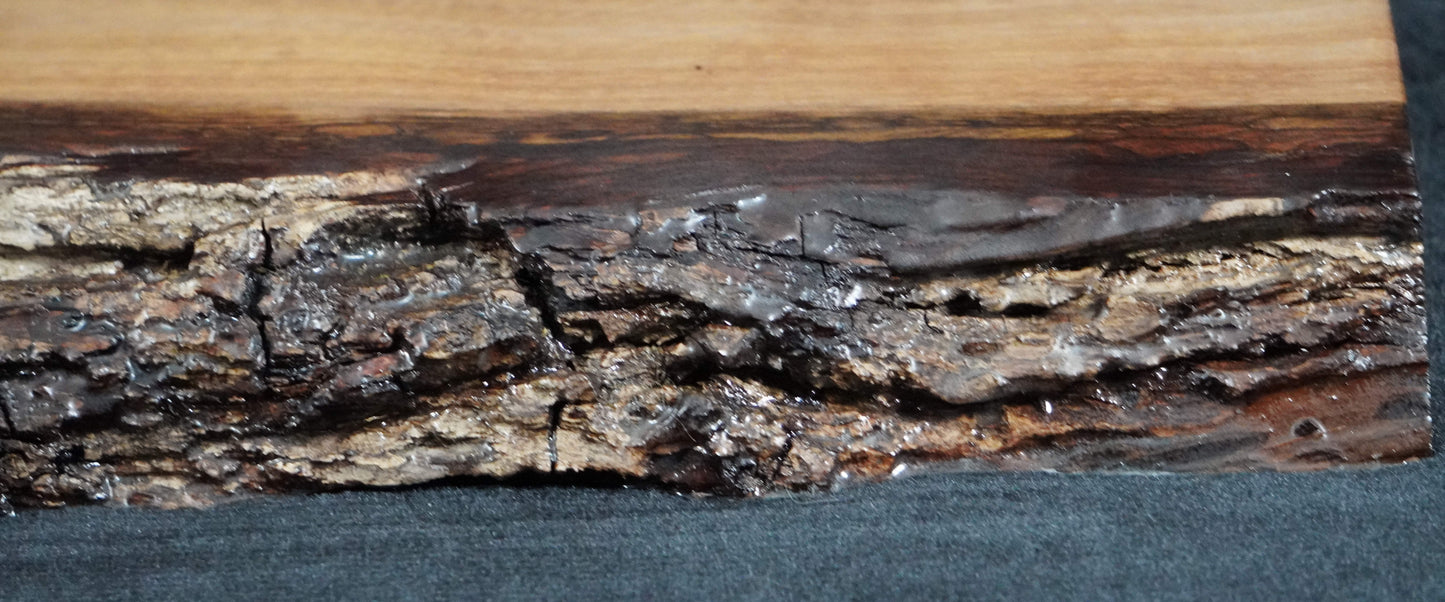Black Walnut Live Edge Ikebana Stand