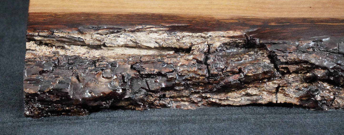 Black Walnut Live Edge Ikebana Stand