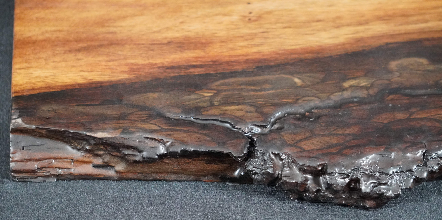 Black Walnut Live Edge Ikebana Stand