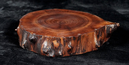 Black Walnut Round Live Edge Ikebana Stand